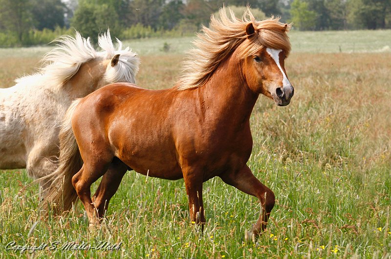 Bjolan 20110521 b.jpg